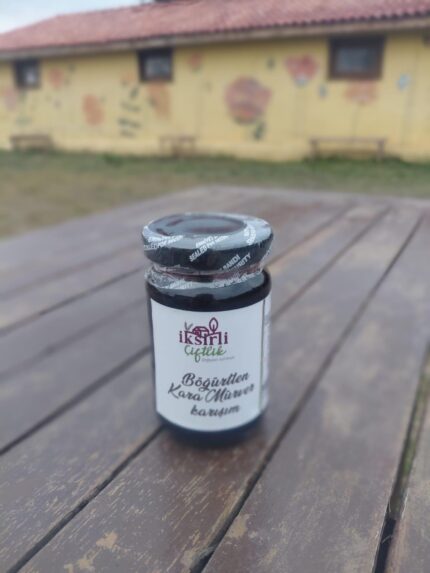 Böğürtlen ve mürver meyvelerini püre haline getirdik