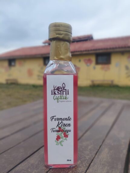 Kastamonu'da kızılcık meyvesine "kiren" denir!