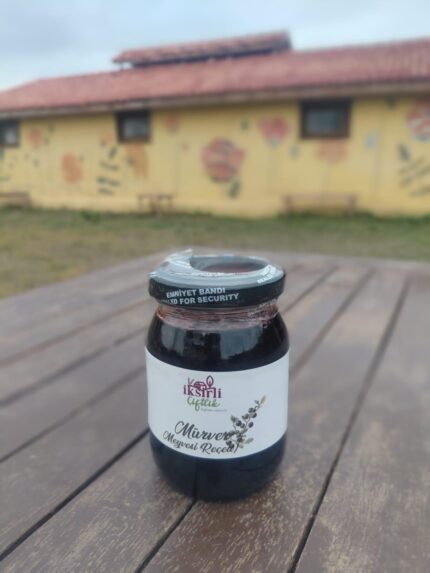 Mürver meyvesini sonbaharda Daday'ın temiz ormanlarından topladık